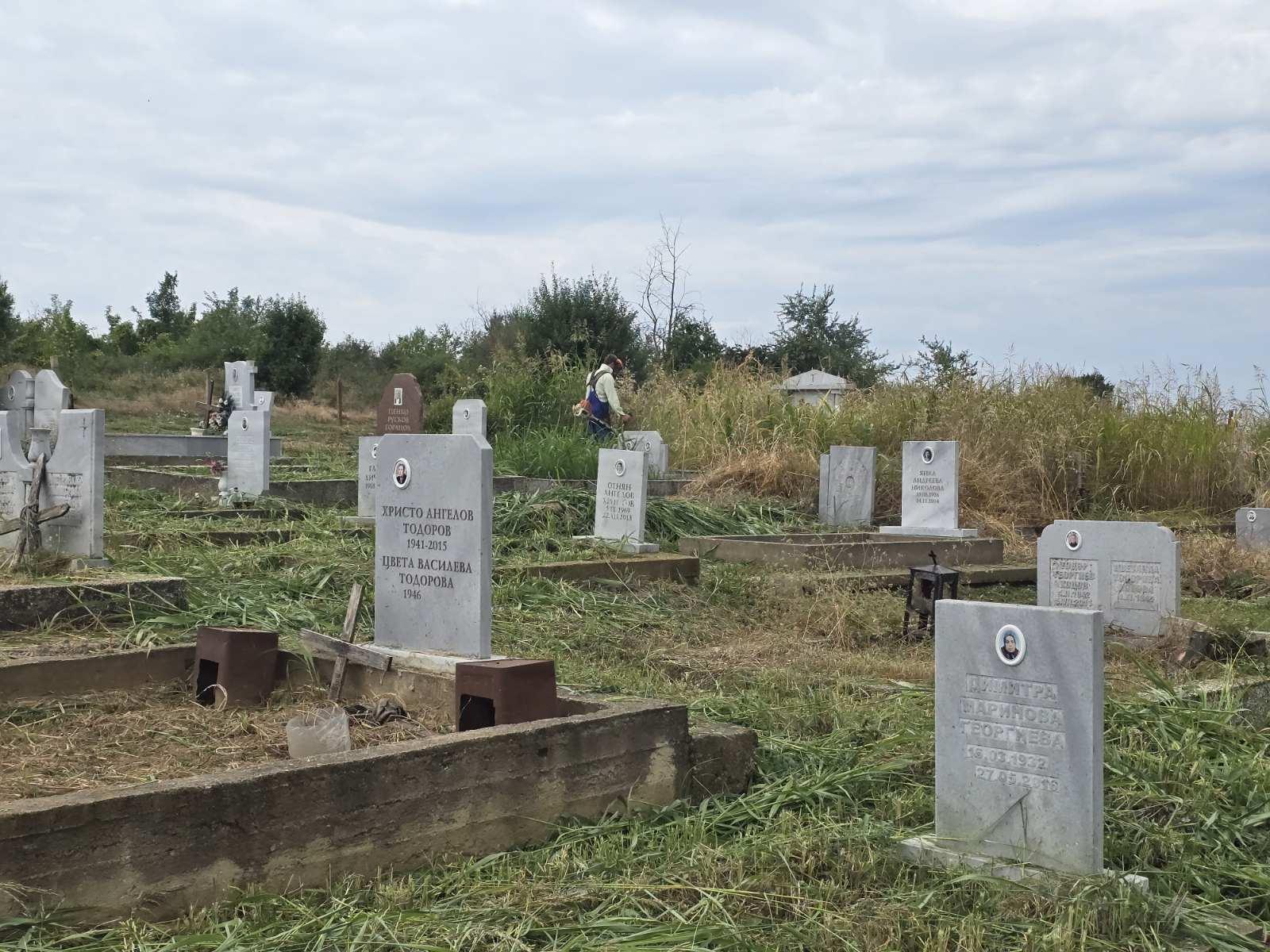 Окосени пътеки между парцелите след почистването
