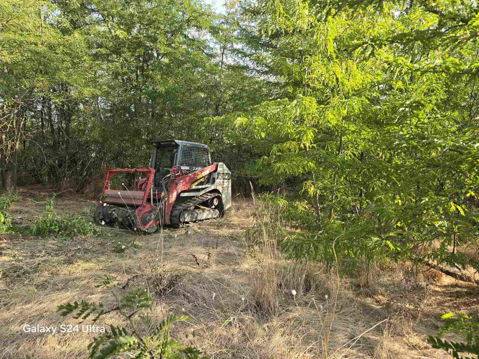 Машината с мулчер в обрасъл участък с високи дървета